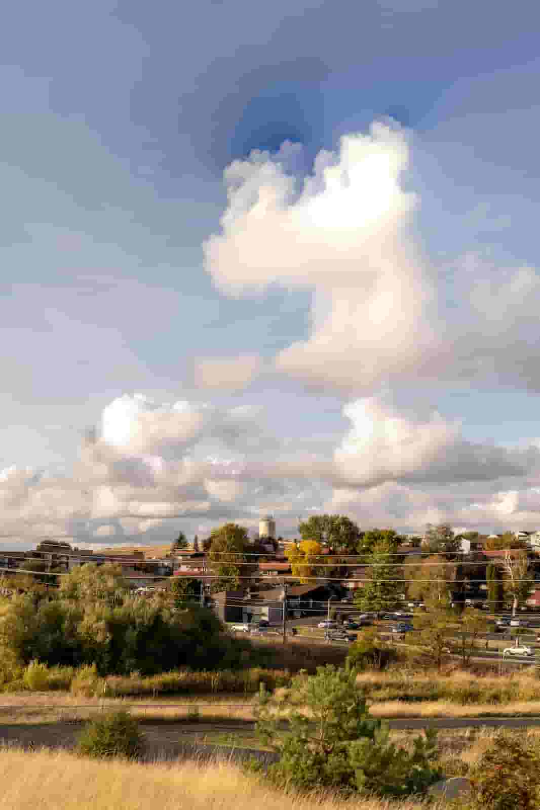 View of Pullman, WA from University Crossing